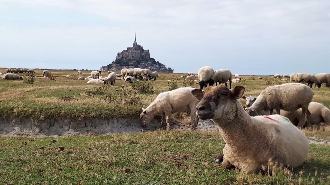 فيلا Le Bocage Sartilly-Baie-Bocage المظهر الخارجي الصورة